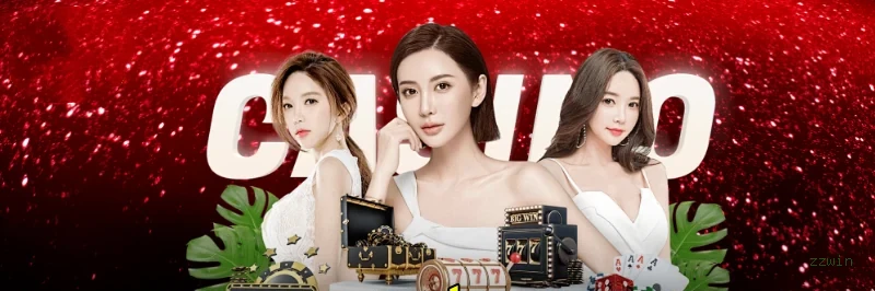 Interface do Aplicativo zzwin - Design Premium e Intuitivo